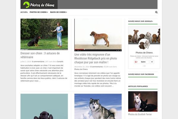 Original theme site design template sample