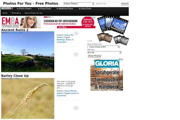 Site using Cat-tag-filter-widget plugin