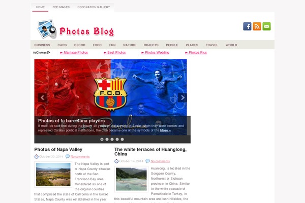 Finesse theme site design template sample