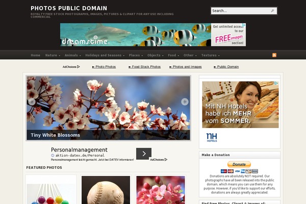 My Theme theme site design template sample