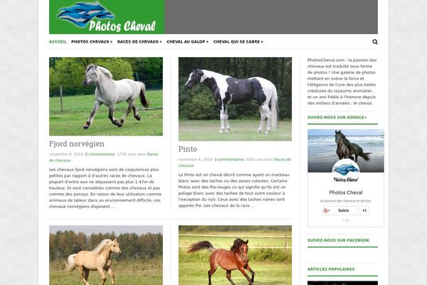 Original theme site design template sample