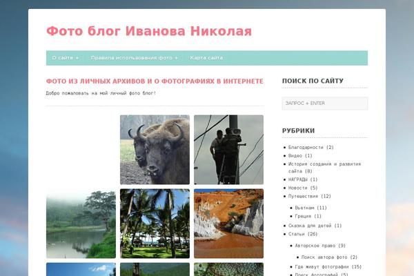 Focus Point theme site design template sample