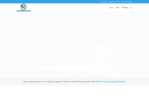 Divi theme site design template sample