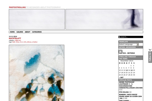 Site using Flip-cards-module-divi plugin