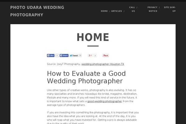 Elsie theme site design template sample
