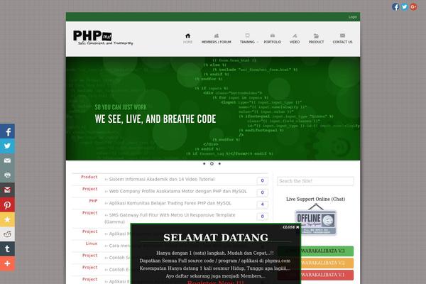 Point theme site design template sample