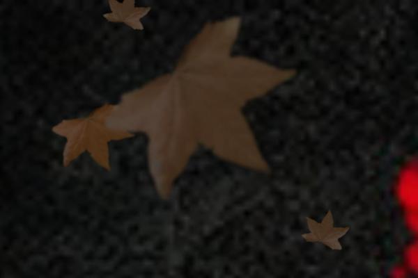 phuketians.com site used Everafter