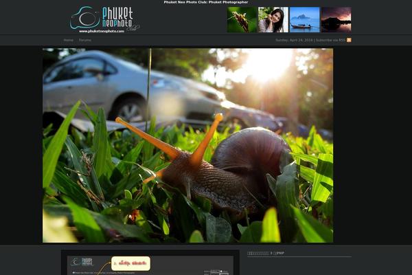 Site using 1-flash-gallery plugin