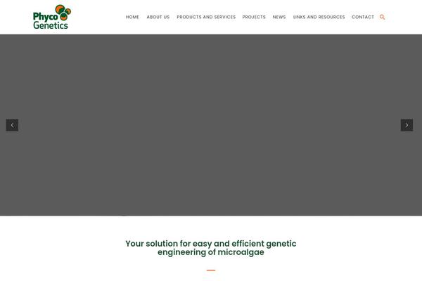 Site using Social-icon-widget plugin