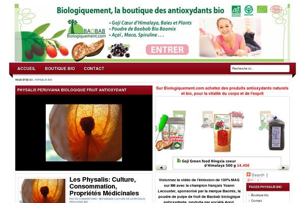 Lugada theme site design template sample