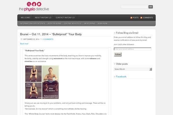yews-flawless theme websites examples