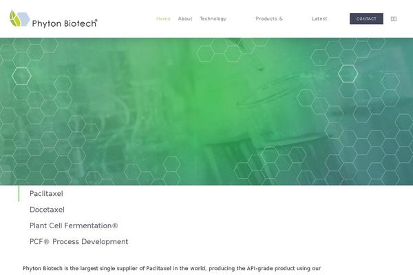 Site using Wp-speedup plugin