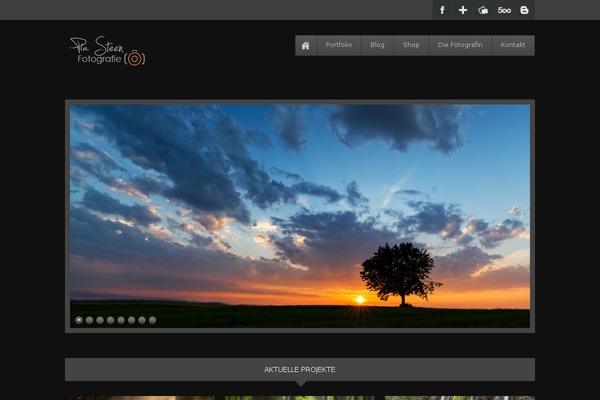 piasteen.de site used Attracto