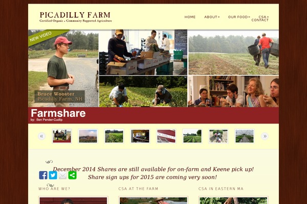 Dandelion theme site design template sample