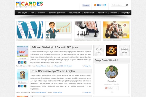 Author theme site design template sample