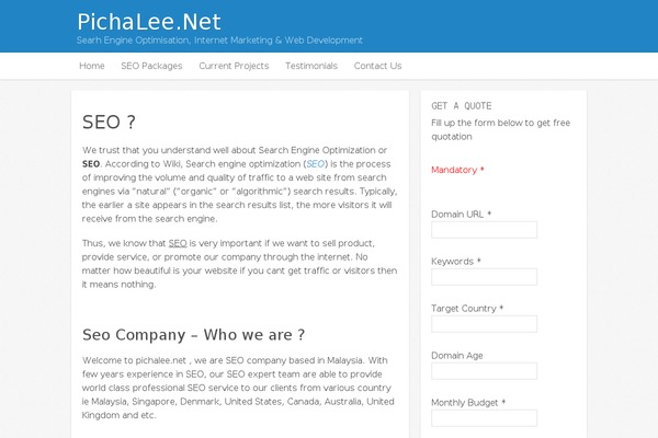 Icy Pro theme site design template sample