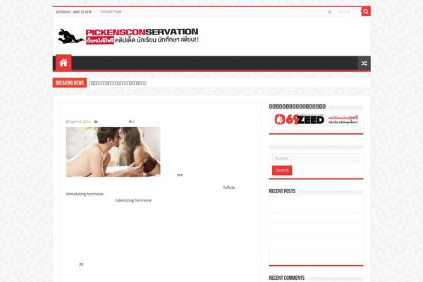 Sahifa theme site design template sample