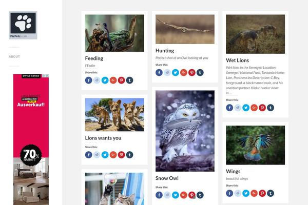 Site using GeoDirectory - Directory Plugin plugin