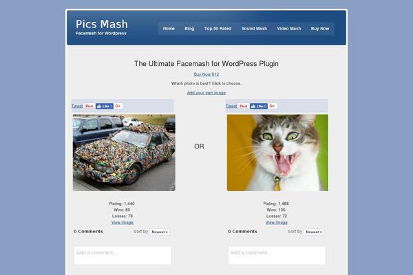 Site using Social Gallery Lite plugin