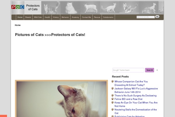 pictures-of-cats.org site used Squareread