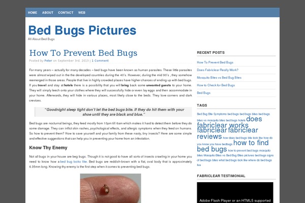 WP Perfect theme site design template sample