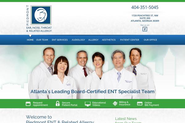 Niche_custom theme site design template sample