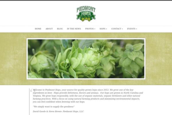 Anthology_v145 theme site design template sample