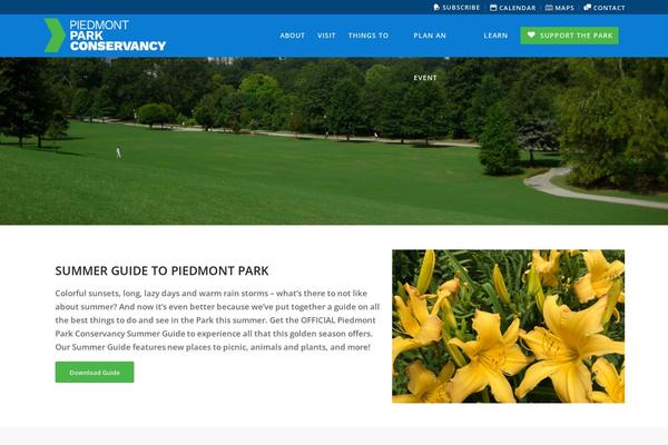 Custom Theme theme site design template sample