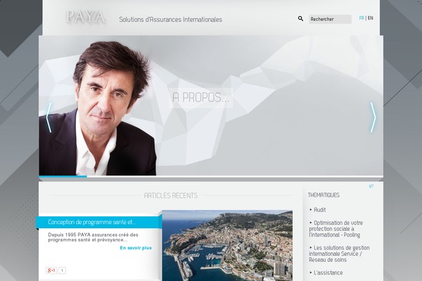 pierrepaya-leblog.fr site used Paya