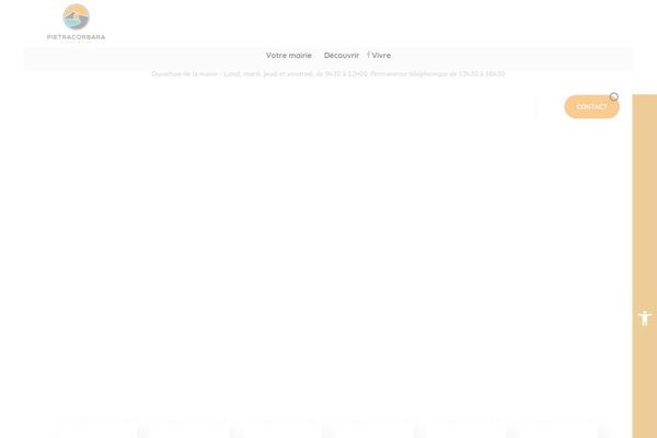 Site using Pojo Accessibility plugin