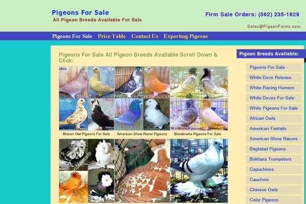 Smallbiz theme site design template sample