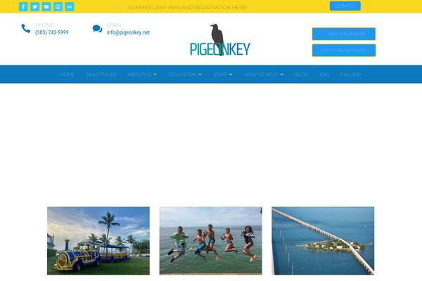Site using Wp-and-divi-icons-pro plugin