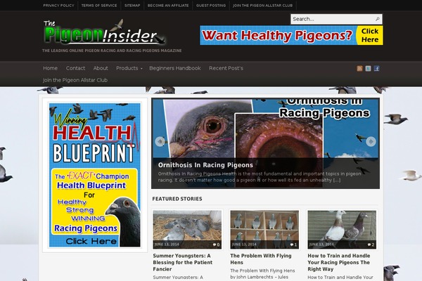 pigeonracingpigeon.com site used Cenote-pro