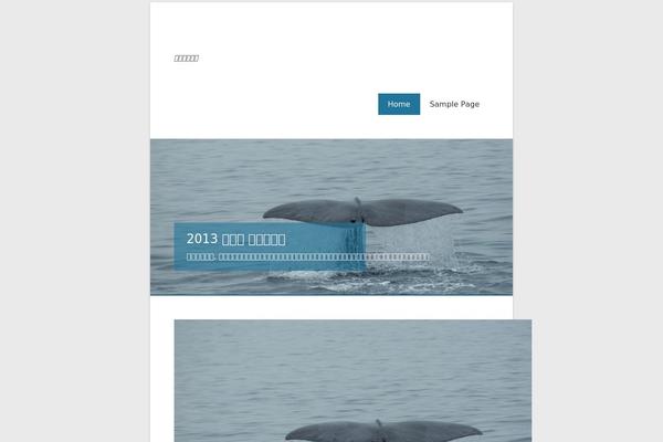 Catch Kathmandu theme site design template sample