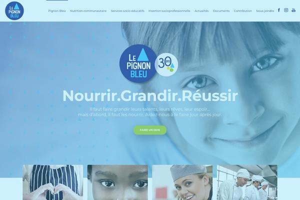Dfd-native theme site design template sample