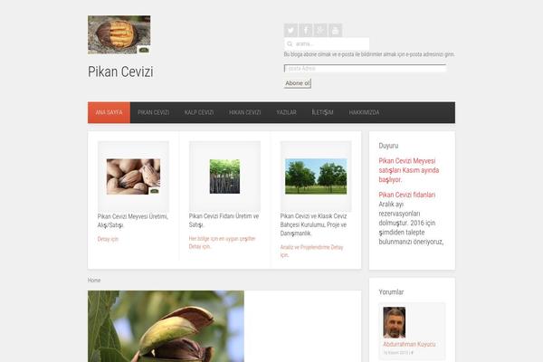 Avenue theme site design template sample