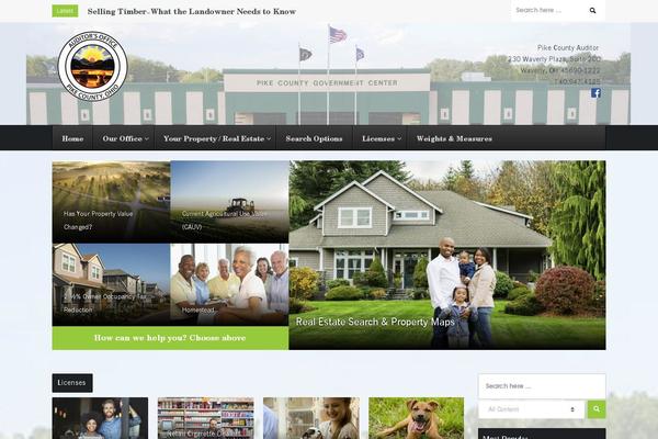 Domag theme site design template sample