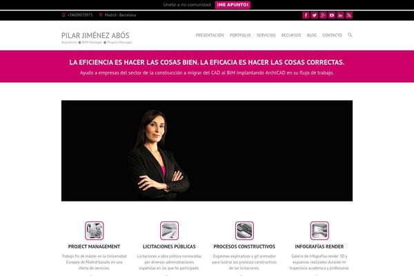 Interface Pro theme site design template sample