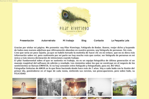 Bokeh_1_4_2 theme site design template sample