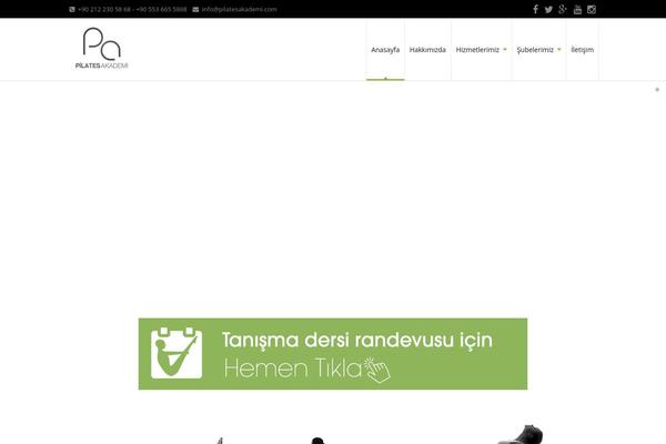 Probusiness-child-theme theme site design template sample