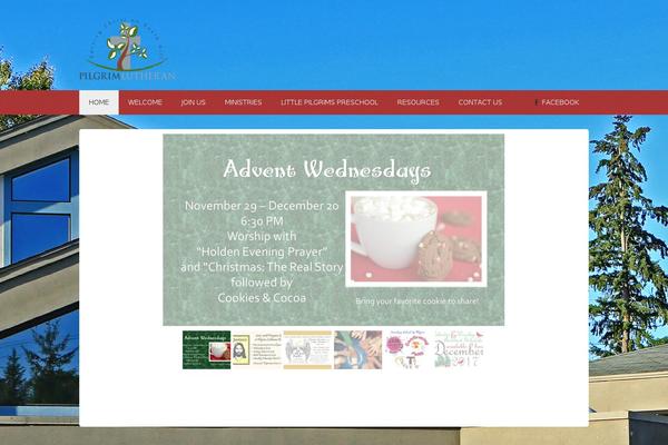 Site using Email Subscribers Advanced Form plugin