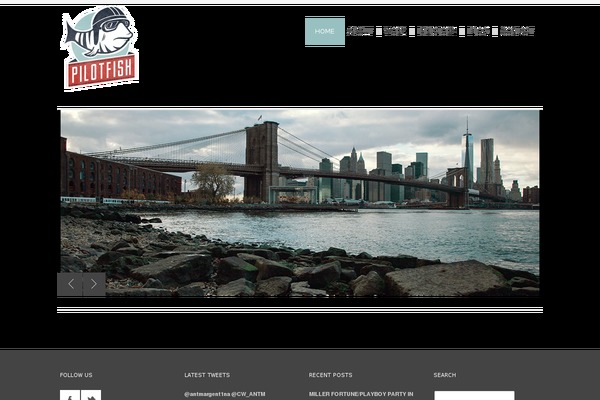 Site using Brankic Twitter Widget plugin
