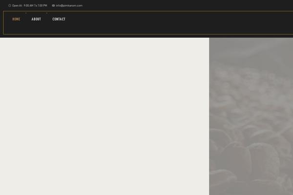 Pubzinne theme site design template sample