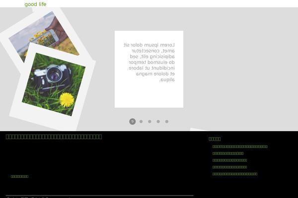 fPhotography theme site design template sample