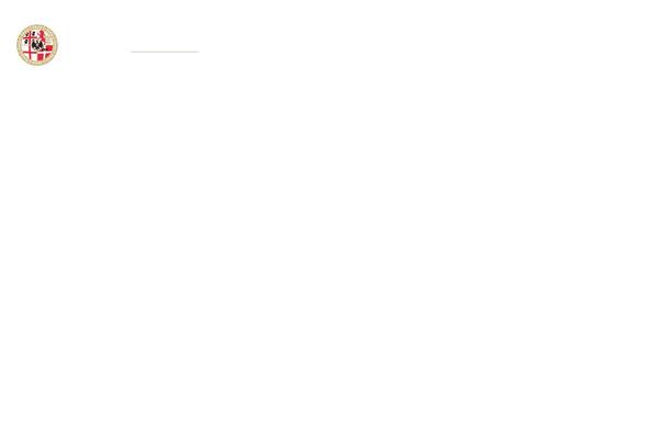 Avada theme site design template sample