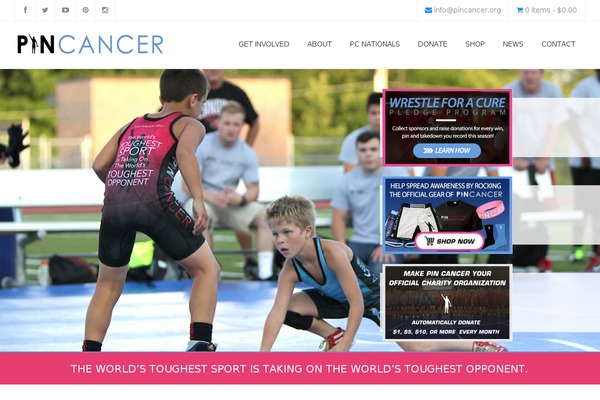 Jollyany theme site design template sample