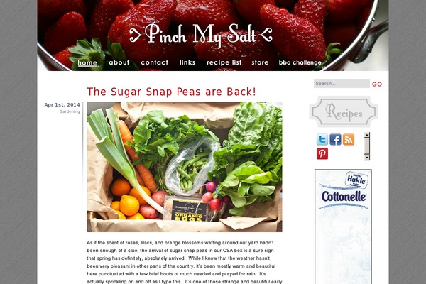 Foodiepro-2.1.8 theme site design template sample