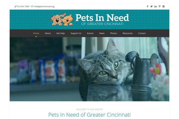 Site using Easy Custom Auto Excerpt plugin