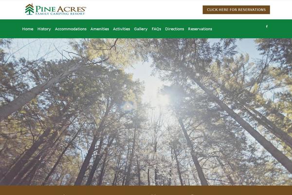 Ave-child theme site design template sample