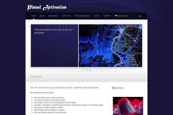 Awake theme site design template sample
